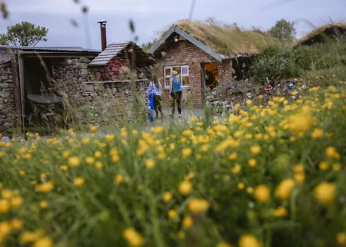 Camping Mayo Glamping *